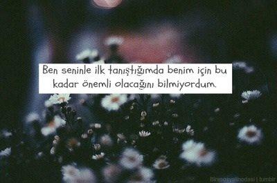 Resimlerle Aşk Döngüsü 💘