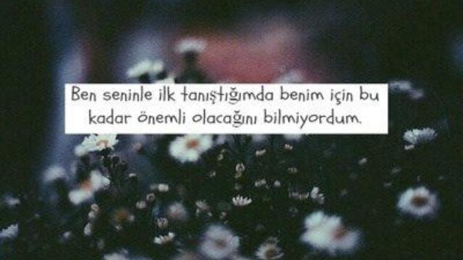 Resimlerle Aşk Döngüsü 💘