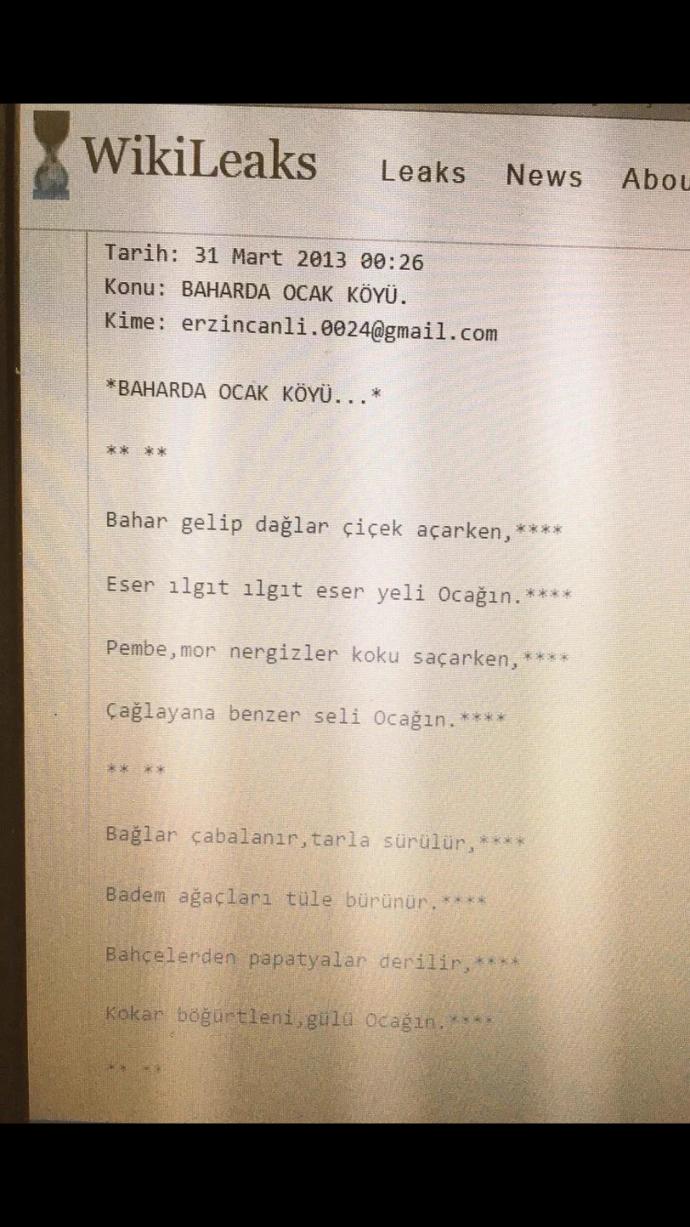 Wikileaks'in Efsane Şekilde Trollenmesi