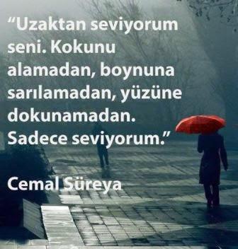 Sanal Aşk Yaşayanların Karşılaştığı Problemler