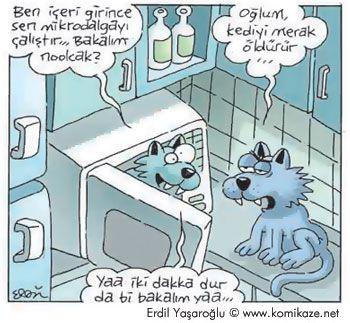 Meraklı İnsanların Yaşadığı Sorunlar