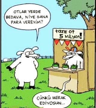 Meraklı İnsanların Yaşadığı Sorunlar
