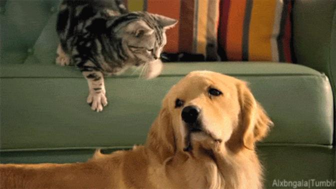 Sizi Mutlu Edecek 5 Şey!