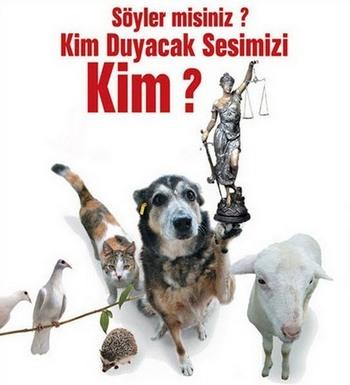 Hayvanlar Dünyasında En büyük Hakarettir 'İnsan' Demek