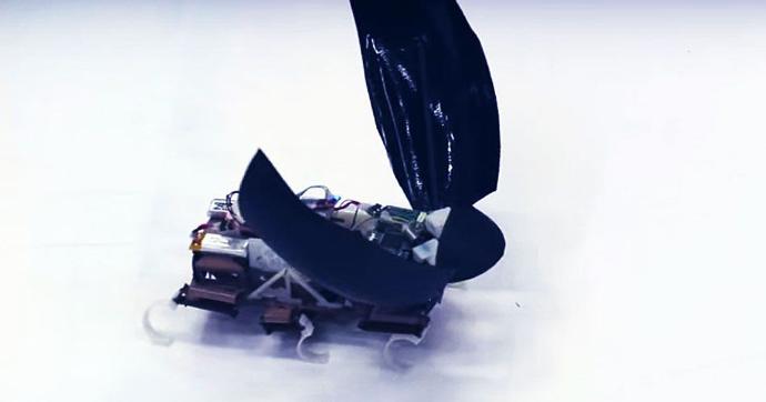Jumproach: Zıplayabilen Hamam Böceği Robot