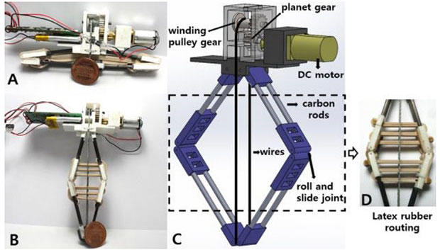 Jumproach: Zıplayabilen Hamam Böceği Robot
