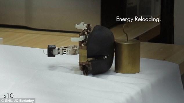 Jumproach: Zıplayabilen Hamam Böceği Robot