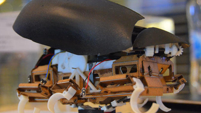 Jumproach: Zıplayabilen Hamam Böceği Robot