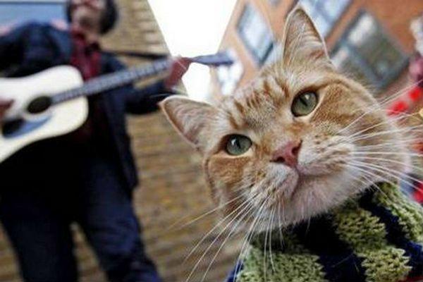 Sokak Kedisi Bob: İçinizi Isıtacak Bir Dostluk Hikayesi