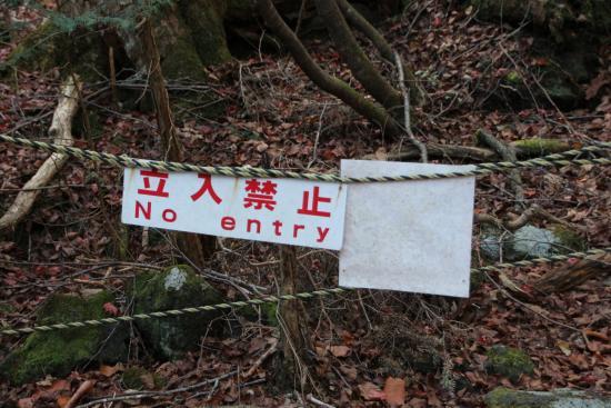 Kötü Ruhlara Ev Sahipliği Yapmasıyla Anılan, Bir Girenin Bir Daha Geri Dönemediği Aokigahara Ormanı