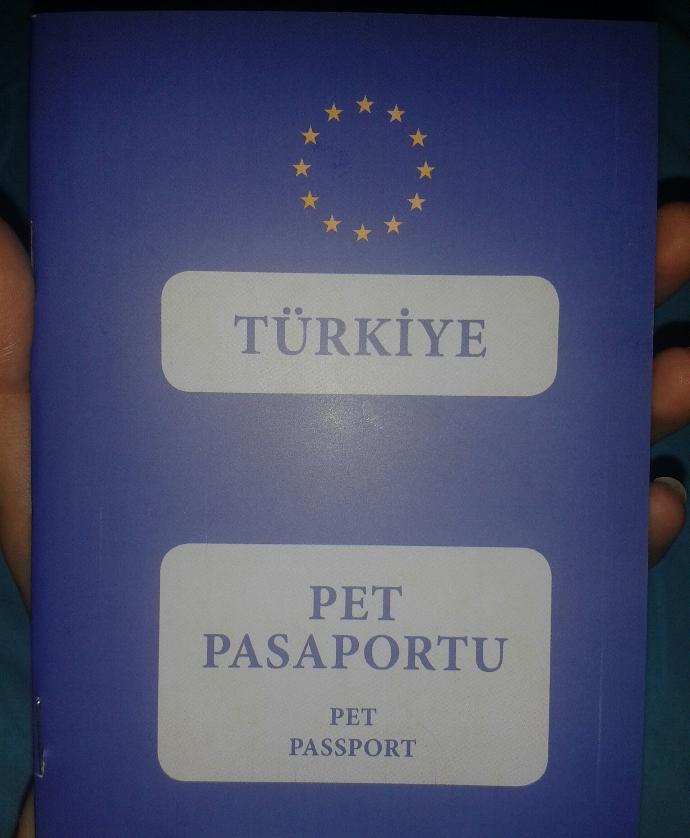 Kediler ve Aşılama