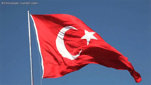 Türklerden Tüm Dünyaya Verilen Ders!