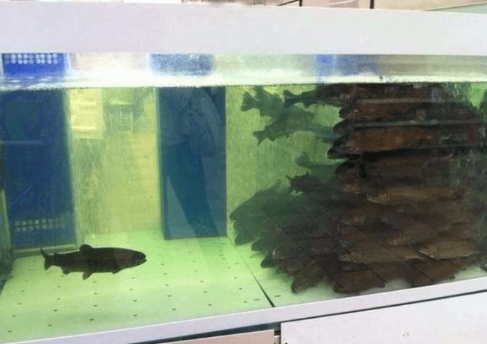 Pazartesi Gününün Bünyemizde Yarattığı Etkiyi Tarif Eden Fotoğraflar