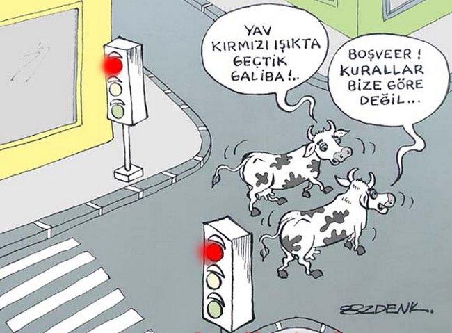 Yurt Dışından Türkiye'ye Geldiğinizde Sizi Bekleyen Şeyler