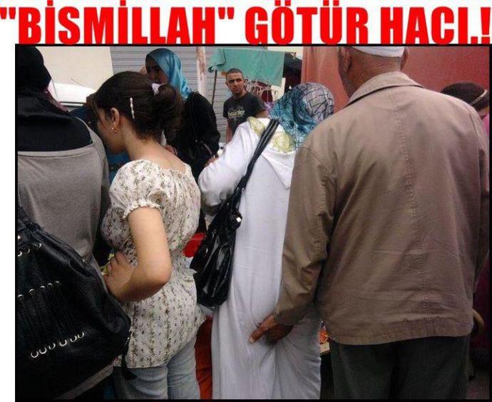 Klasik Bir 'Anadolu Çomarı'nın Genel Özellikleri