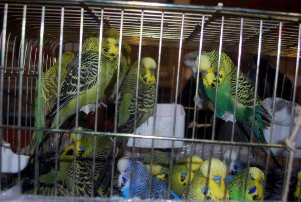 Etkileyici Bir Yüze Sahip Olmamanın Avantajları