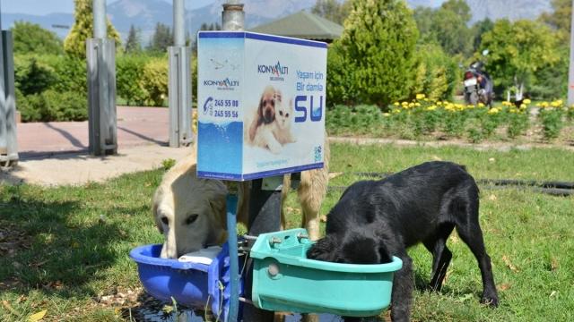 Minik Bedenlerin Yaşamına Sizin De Bir Katkınız Olsun