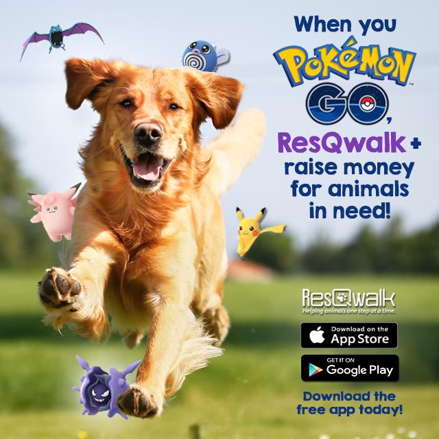 Pokemon GO İçin Yürüyeceğinize Barınaktaki Hayvanları Kurtarın!