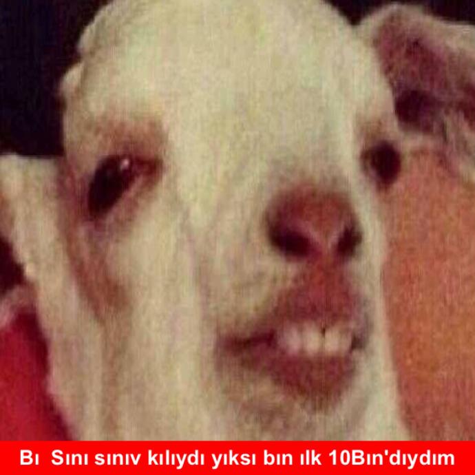 Modern Anestezi : Kendini Avutmak