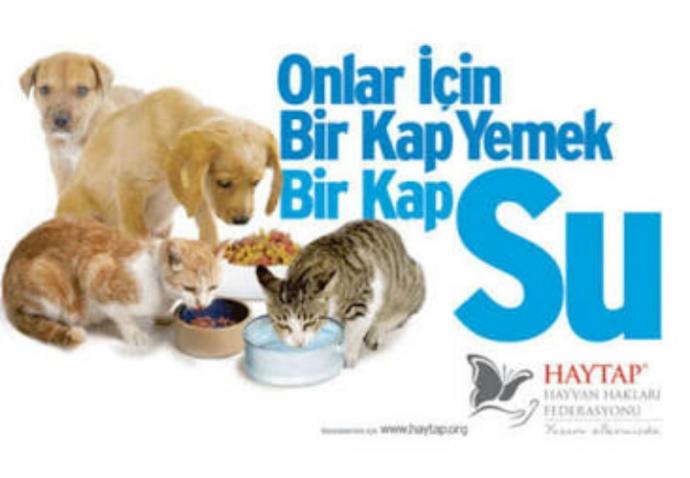 Huzurlu Bir İnsan Olmanızı Sağlayacak 7 Şey!