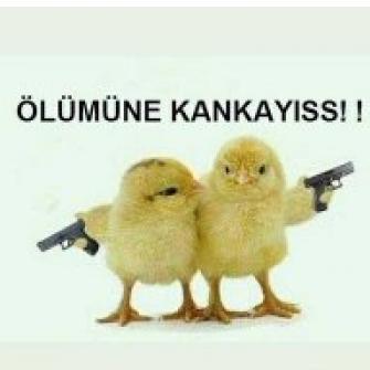 Sonsuza Dek En İyi Arkadaş!