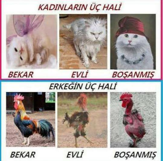 Bekarlık Sultanlık; Çamaşırlarımı Kendim Yıkarım