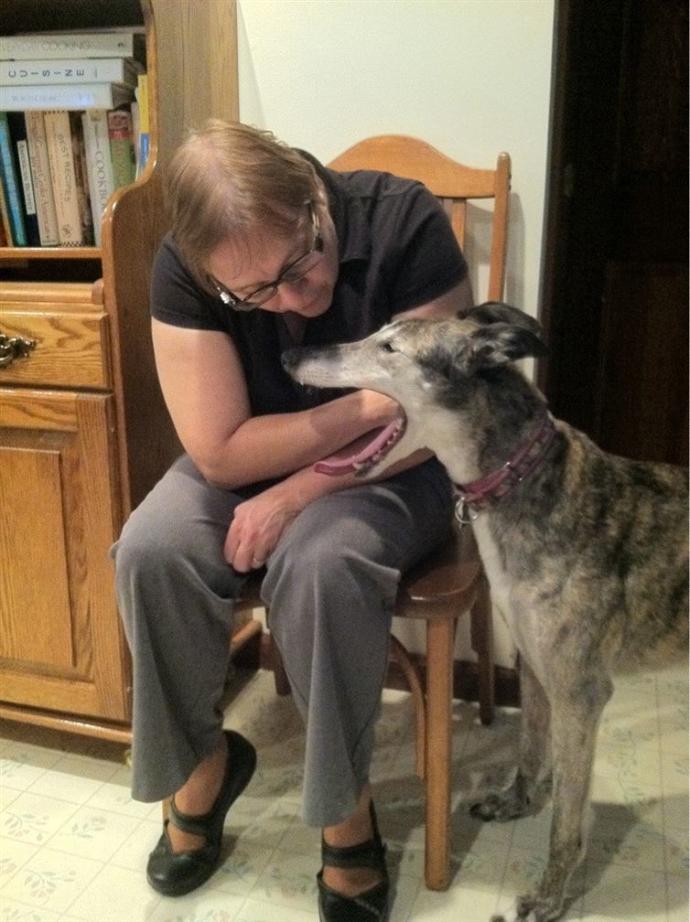 Mükemmel Zamanlamayla Çekilmiş Birbirinden Harika Köpek Fotoğrafları