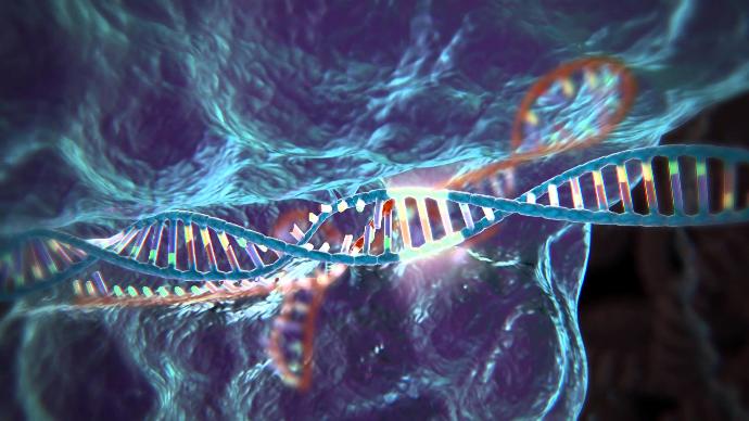 Kanserden Genetik Rahatsızlıklara, Bir Çok Hastalığın Tedavisine Açılan Yeni Bir Tıbbi Teknik: CRISPR