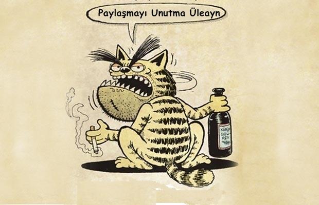 Gördüğünüzde "Gözüm Seni Bir Yerden Isırıyor" Diye Tepki Vereceğiniz Pisicikler
