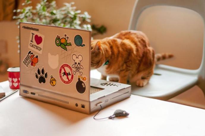 KizlarSoruyor'un Bu Haftaki En İyi Facebook Paylaşımları