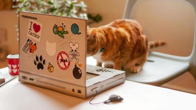 KizlarSoruyor'un Bu Haftaki En İyi Facebook Paylaşımları