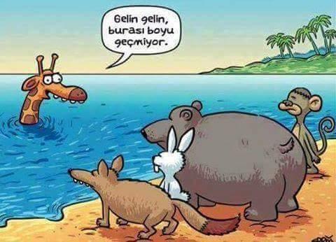 Kısa Boylu Erkeğin Bir Kaç Maddeyle Hayatı
