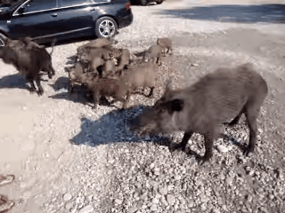 Erkekler de Aşık Olur!