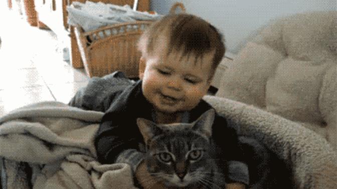 Kedilerin Ve Bebeklerin Çok Benzediğinin 8 Kanıtı!