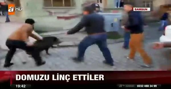 Sıradan Günleri Meşhur Olan İki İlimiz; Adana ve Samsun