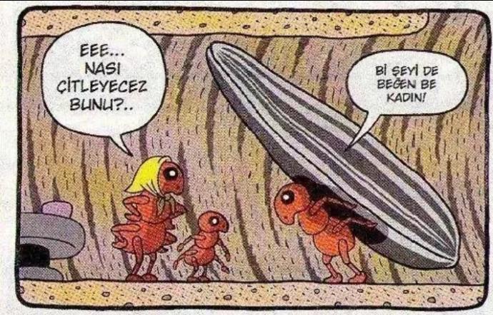 Başak Burcu Kadınları