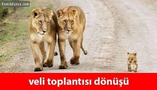 Her Türk Erkeğinin Evlilikten Beklediği Altın Değerinde Hayaller