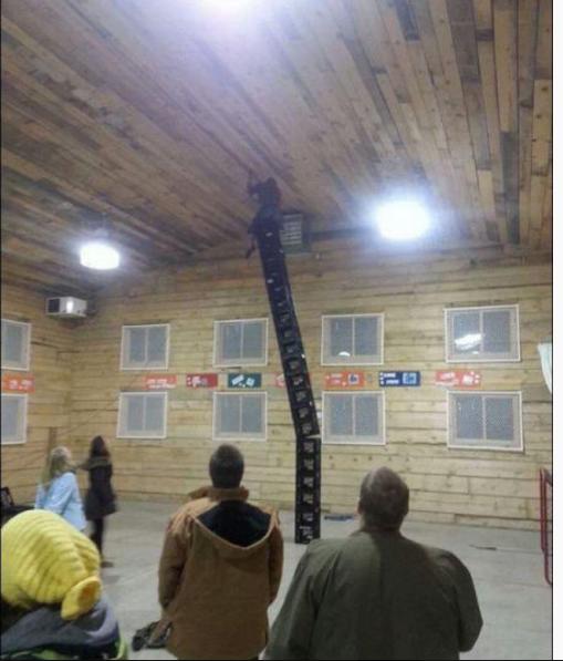 Çılgınlık ve Cesurlukta Sınır Tanımayanlar