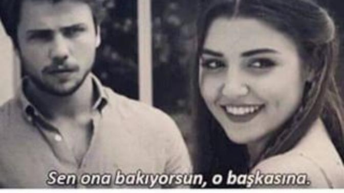Platonik Aşkın Evreleri