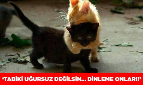 Günlük Hayatımızda Sürekli Karşımıza Çıkan Batıl İnançlar