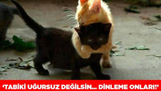 Günlük Hayatımızda Sürekli Karşımıza Çıkan Batıl İnançlar