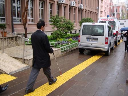 Dilsiz Dünyanın Sessiz Neşeleri : Engelsizler