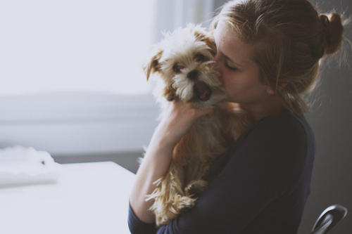Köpek Seven İnsanları Sevin, Onlar Gerçek Sevgiyi Daha İyi Bilirler !