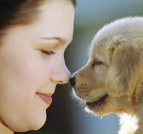 Köpek Seven İnsanları Sevin, Onlar Gerçek Sevgiyi Daha İyi Bilirler !