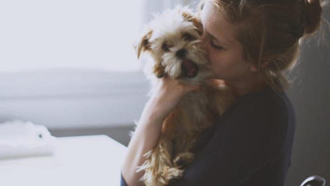 Köpek Seven İnsanları Sevin, Onlar Gerçek Sevgiyi Daha İyi Bilirler !