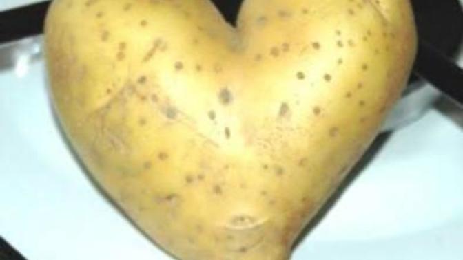 Fırında Pratik ve Sağlıklı Patates Cips Yapımı!