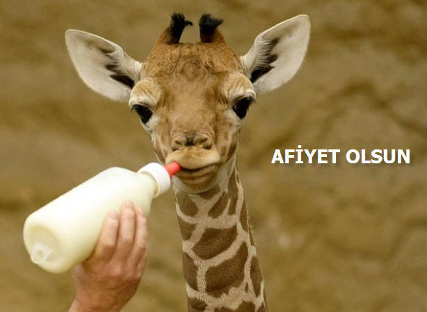 Sadece Erkeklerin Pişirilebileceği Mükemmel Lezzetler