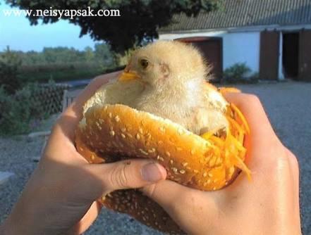 Ekmek Arası Lezzetler