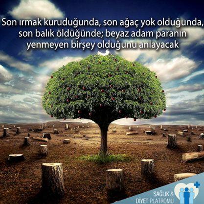 Doğayı Koruyun!