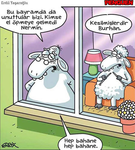 Kurbanlıkların Dilinden Kurban Bayramı Heyecanı